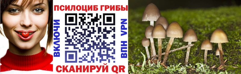 Купить где  Дорогобуж  Галлюциногенные грибы прущие грибы 