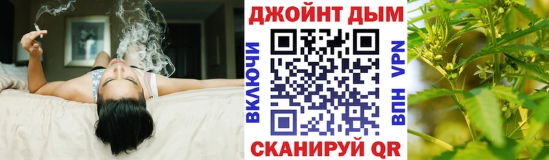 Конопля планчик  Купить закладки  Дорогобуж 